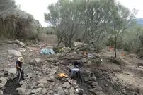 کشف دیوارهای ۶ هزارساله در عمق جنگل‌های فرانسه!