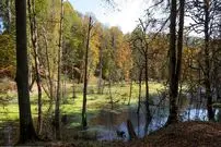 تصاویر؛ مرداب دِریوک کجاست ؟