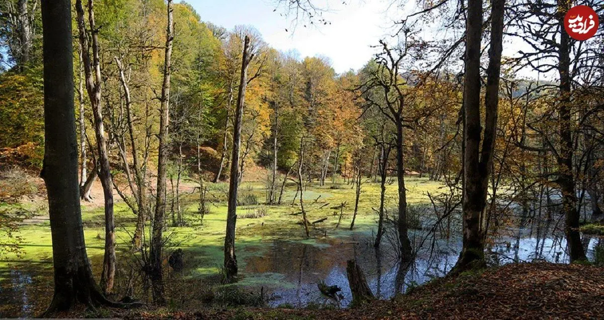 تصاویر؛ مرداب دِریوک کجاست ؟