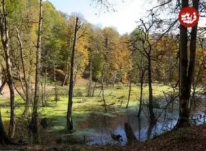 تصاویر؛ مرداب دِریوک کجاست ؟