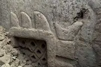 حکاکی استثنایی ۳ هزار ساله از زیر یک تپه بیرون آمد