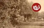 تصاویر| سفر به دوران قاجار؛ از «گلۀ بزها در تهران» تا «قایق پارویی در دریای خزر»