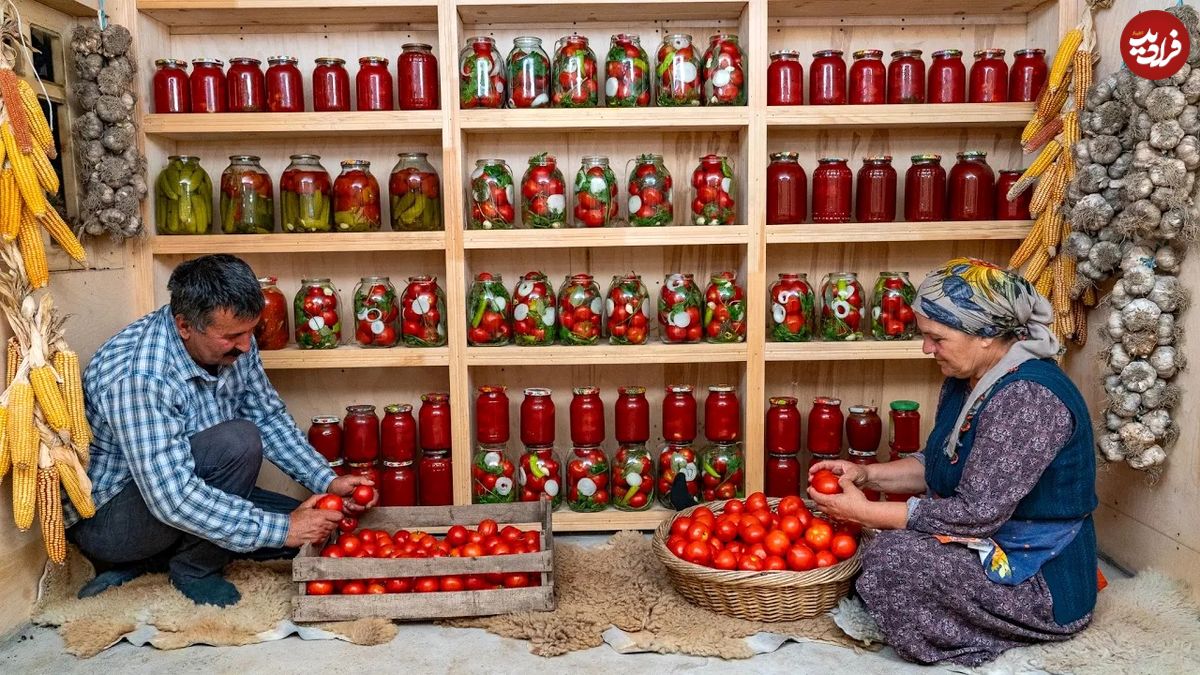 (ویدئو) برداشت 200 کیلو گوجه و تهیه کنسرو توسط زوج روستایی آذربایجانی