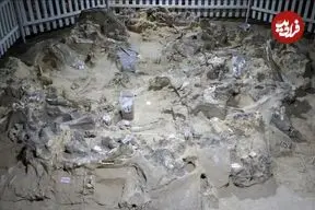 کشف خانه‌های 19 هزارساله که با استخوان ماموت ساخته شده‌اند