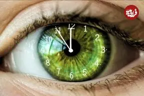 ساعت بیولوژیکی جدیدی که زمان مرگ را پیش‌بینی می‌کند