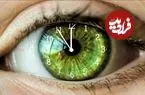 ساعت بیولوژیکی جدیدی که زمان مرگ را پیش‌بینی می‌کند