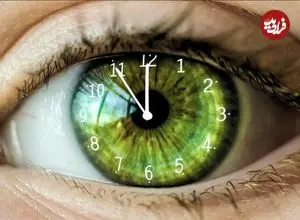 ساعت بیولوژیکی جدیدی که زمان مرگ را پیش‌بینی می‌کند