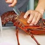 ببینید| غذای خیابانی در ژاپن؛ تهیه ساشیمی با لابستر، صدف، ماهی تن و ماهی بادکنکی سمی در اوکیناوا