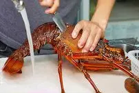 ببینید| غذای خیابانی در ژاپن؛ تهیه ساشیمی با لابستر، صدف، ماهی تن و ماهی بادکنکی سمی در اوکیناوا