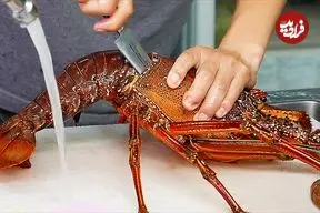 ببینید| غذای خیابانی در ژاپن؛ تهیه ساشیمی با لابستر، صدف، ماهی تن و ماهی بادکنکی سمی در اوکیناوا