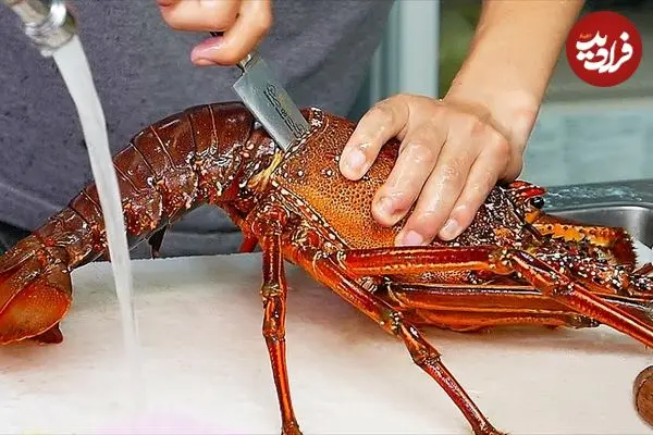 ببینید| غذای خیابانی در ژاپن؛ تهیه ساشیمی با لابستر، صدف، ماهی تن و ماهی بادکنکی سمی در اوکیناوا