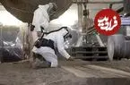 اولین برداشت محصول کشاورزی از دل خاک‌های سیاه ماه | این تکنولوژی بحران غذایی زمین را حل می‌کند