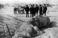 هیولاهای مرموزی که از اقیانوس به ساحل می‌آیند