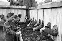 عکس| جنگ با چشمان بسته؛ آموزشی حیاتی در سپاه دهم ارتش بریتانیا