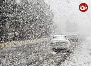 ببینید| تصاویری از بارش برف در تهران