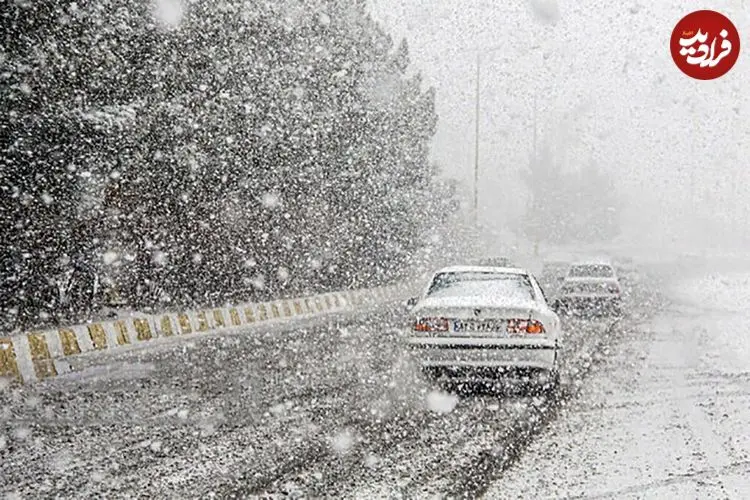 ببینید| تصاویری از بارش برف در تهران