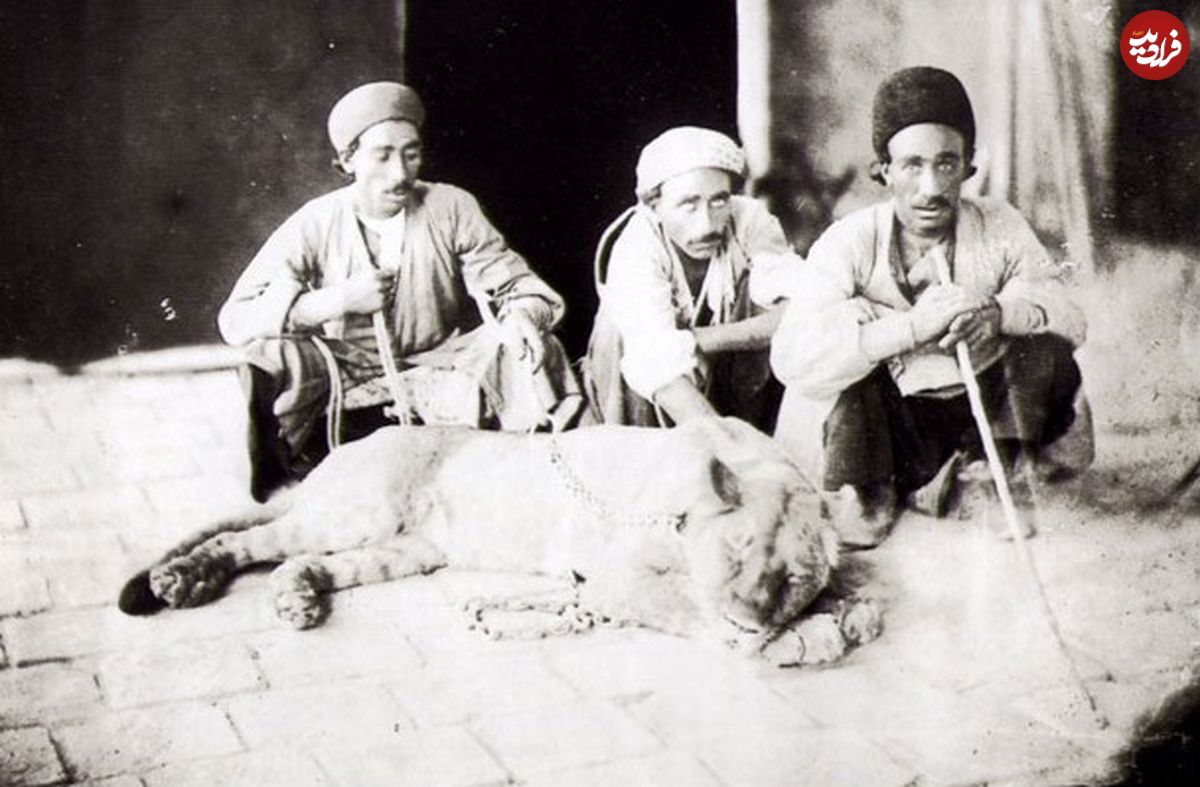 عکس؛ سفر به تاریخ؛ نقاشی 150 سالۀ نقاش اروپایی از «شیرهای ایرانی» در «تخت جمشید»
