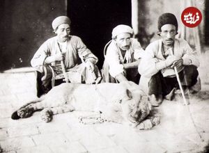 عکس؛ سفر به تاریخ؛ نقاشی 150 سالۀ نقاش اروپایی از «شیرهای ایرانی» در «تخت جمشید»