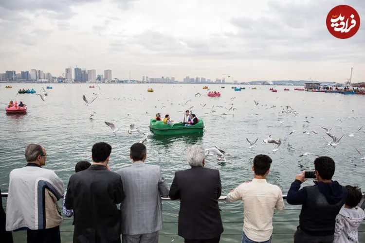 ماجرای حشرات ریز دریاچه شهدای خلیج فارس چیست؟