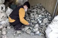 (ویدئو) نگاهی نزدیک به فرآیند ساخت دکوراسیون با صدف‌های دریایی
