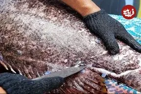 ببییند| غذای خیابانی در تایلند؛ پخت غذاهای لوکس با ماهی گروپر 1500 دلاری در بانکوک