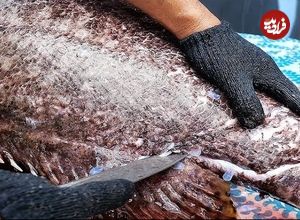 ببییند| غذای خیابانی در تایلند؛ پخت غذاهای لوکس با ماهی گروپر 1500 دلاری در بانکوک