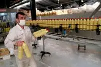 تولید روغن رکورد زد