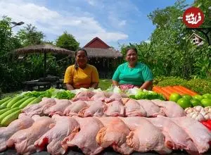 ببینید| غذای روستایی در سنگاپور؛ پخت یک غذای سنتی با مرغ در طبیعت زیبای روستا