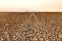 از خشکسالی تا سیلاب؛ کشورهای عربی زیر فشار سنگین گرمایش زمین هستند