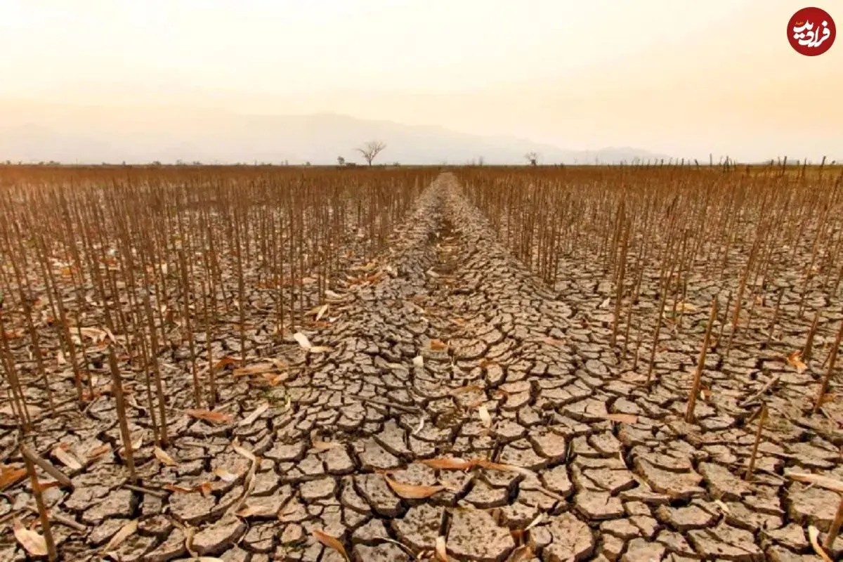 از خشکسالی تا سیلاب؛ کشورهای عربی زیر فشار سنگین گرمایش زمین هستند