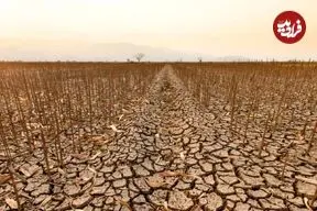 از خشکسالی تا سیلاب؛ کشورهای عربی زیر فشار سنگین گرمایش زمین هستند