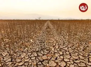 از خشکسالی تا سیلاب؛ کشورهای عربی زیر فشار سنگین گرمایش زمین هستند