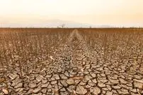 از خشکسالی تا سیلاب؛ کشورهای عربی زیر فشار سنگین گرمایش زمین هستند