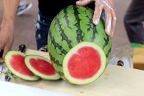ببینید؛ مهارت تماشایی میوه فروش مشهورر کره ای در برش هندوانه، طالبی و آناناس