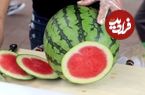 ببینید؛ مهارت تماشایی میوه فروش مشهورر کره ای در برش هندوانه، طالبی و آناناس