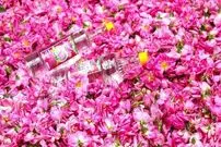 خط تولید گلاب شامل چه دستگاه‌هایی است؟