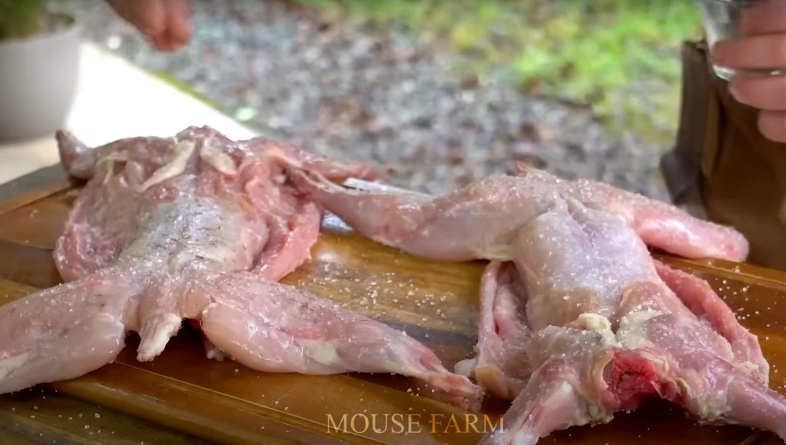 (ویدئو) کارخانه فرآوری گوشت خرگوش؛ کشاورزان چگونه هزاران خرگوش را پرورش می دهند؟