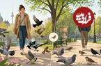 پرندگان از زنان بیشتر از مردان می‌ترسند؛ علت چیست؟