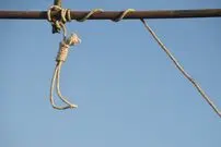 نجات قاتل از چوبه دار