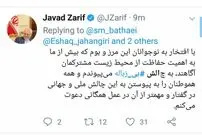 آذری جهرمی و ظریف هم به چالش "بی زباله" پیوستند