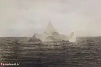 بیسکویت 78 میلیون تومانی!