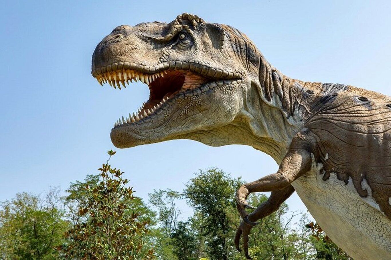 تصور ما از تی‌رکس‌ها غلط است؛ کشف جدید دانشمندان درباره دایناسور‌ها