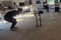 ببینید| اشتباه خنده‌دار ربات G۱ پس از ضربه فنی مربی!