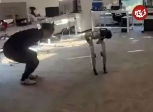 ببینید| اشتباه خنده‌دار ربات G۱ پس از ضربه فنی مربی!