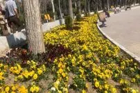 داستان میدان اسبدوانی که تبدیل به بوستان معروف تهران شد