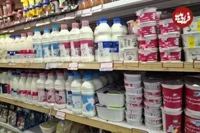 لبنیات ارزان‌تر در راه کالابرگ/ دلیل افزایش قیمت‌ها در بازار چیست؟