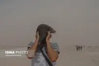 تصاویر/ وقوع گرد و غبار  شدید در مرز شلمچه