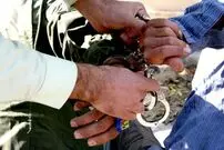 سلطان مدارک‌جعلی در مشهد