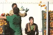 تجربه روزمره کارگران میادین میوه و تره‌بار در شهر تهران