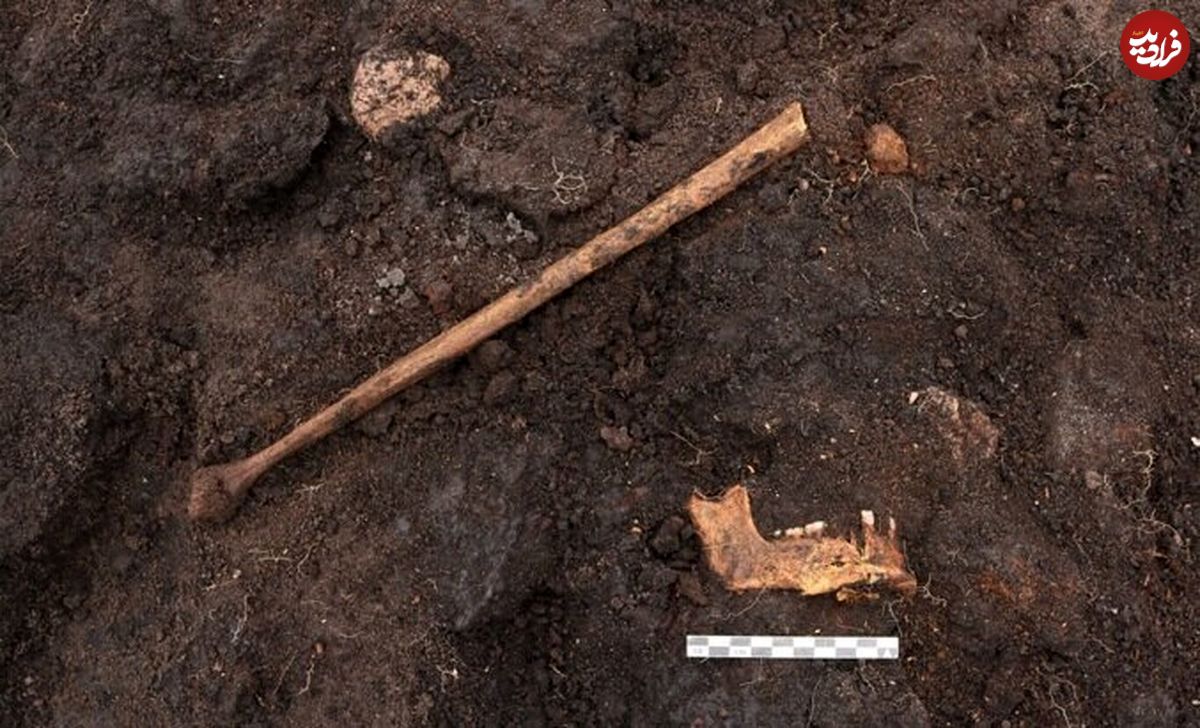 کشف تکان دهنده قربانی ۵ هزار ساله آیین‌های باستانی در دانمارک